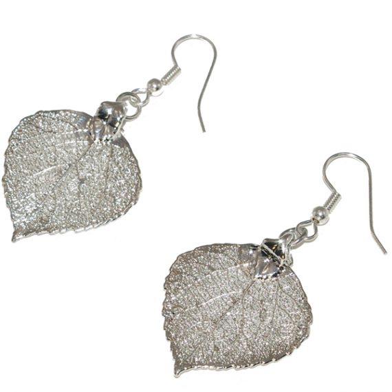 Aspen Silver Earrings