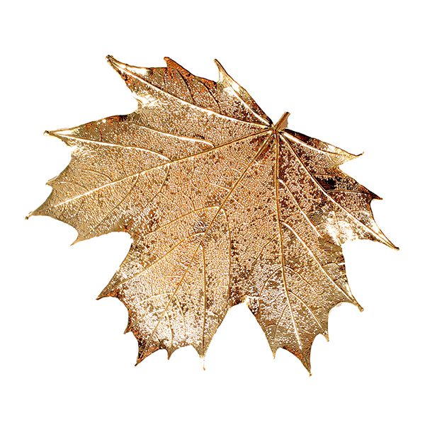 Canadian Maple Gold Brooch