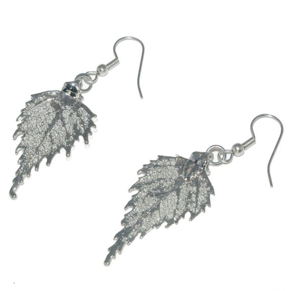 Birch Earrings Silver